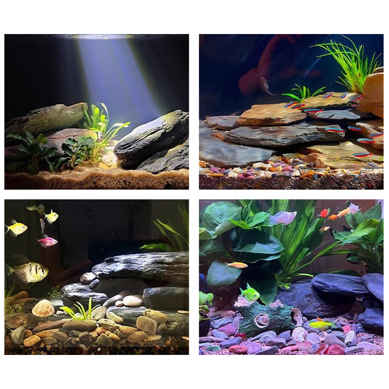 Kit de piedras para paisajismo - Aquarium Marine Tank reseña y precio