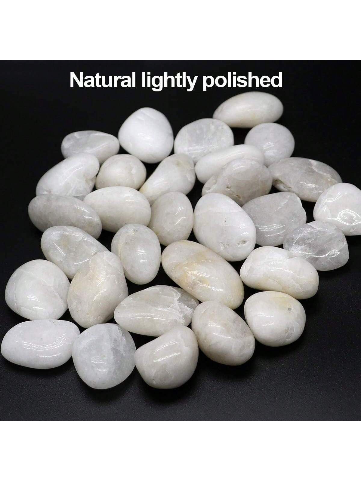 Rocas de río, guijarros blanco - Aquarium Marine Tank reseña y precio