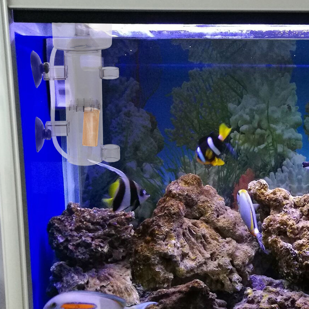 Separador de Proteínas Acrílic - Aquarium Marine Tank reseña y precio