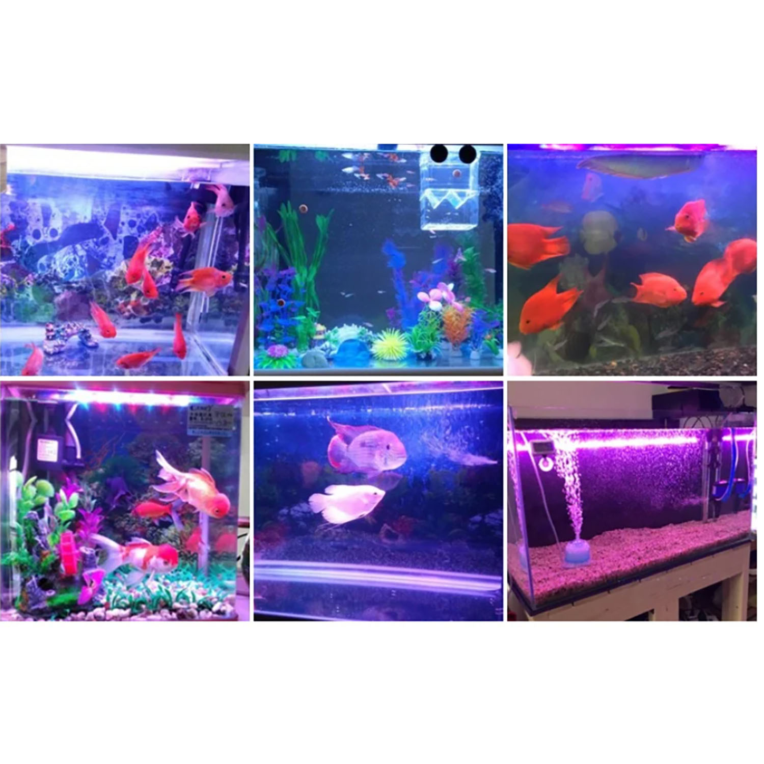 Iluminación LED para Acuarios  - Marine Aquarium Uv reseña y precio