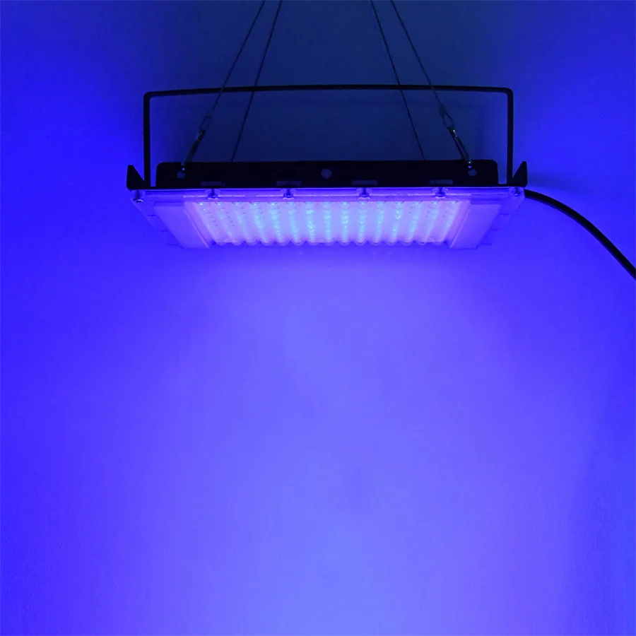 300W UV 395nm luz negra Ultrav - Marine Aquarium Uv reseña y precio